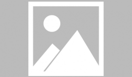 狗狗交配的视频,揭秘繁殖过程的真实画面